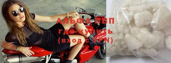 амф Корсаков