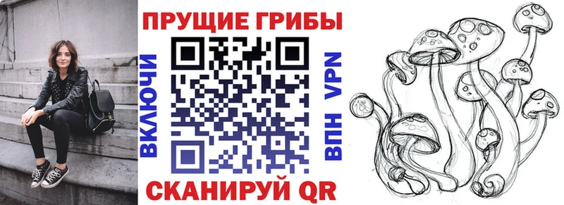 Псилоцибиновые грибы MAGIC MUSHROOMS  Купить где  Киреевск 